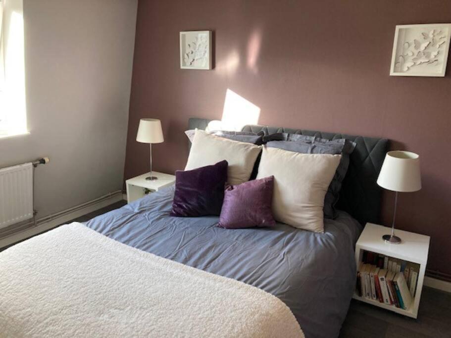 Agreable Et Spacieuse Maison Centre Ville Saint-Omer Dış mekan fotoğraf